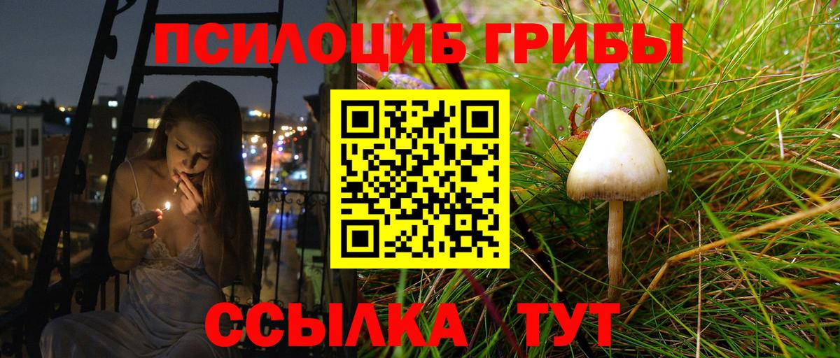 Лениногорск  Псилоцибиновые грибы прущие грибы  Вход с VPN 
